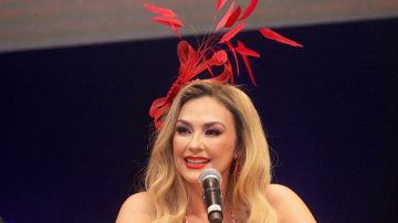 Aracely Arámbula habla sobre sus dos hijos.