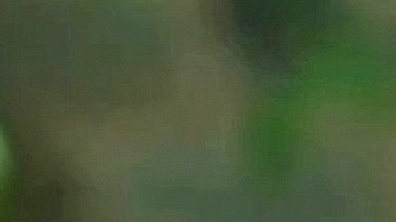 Irina Baeva y Gabriel Soto se separaron.