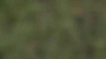 Livia Brito consigue un nuevo triunfo en su pleito legal contra paparazzi.