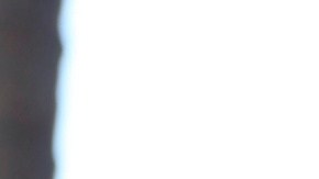 Marc Anthony no se presentará en Venezuela.