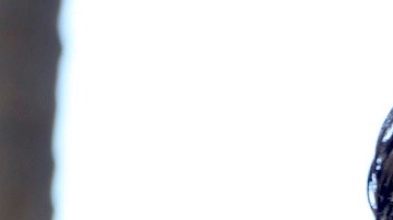 Marc Anthony no se presentará en Venezuela.