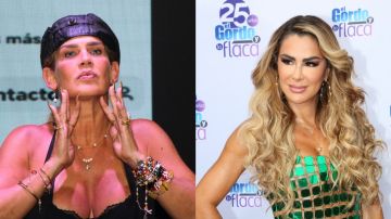 Rivalidad entre Niurka Marcos y Ninel Conde sigue vigente.