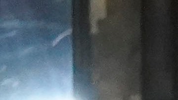 Miss Universo 2024 será el próximo 16 de noviembre.