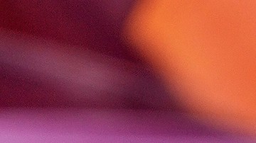 Los conciertos de Taylor Swift en Viena era blanco de planes de un atentado terrorista.