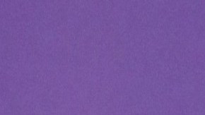 Wendy Guevara fue la ganadora de la primera temporada de 'La Casa de los Famosos México'.