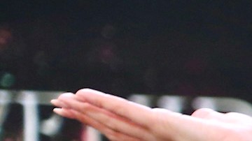Ana Patricia Gámez, Rafael Araneda y Migbelis Castellanos conducen 'Enamorándonos'