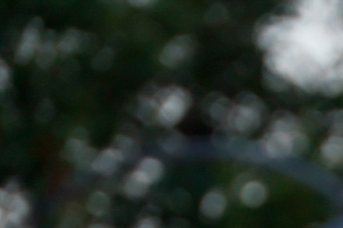 Angelina Jolie preocupa por lo inflamada que tiene sus venas en los brazos y manos.