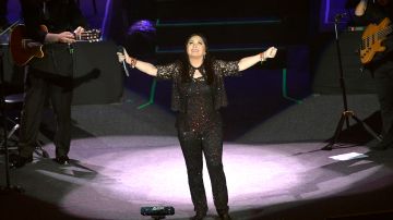 Ana Gabriel detuvo su concierto.