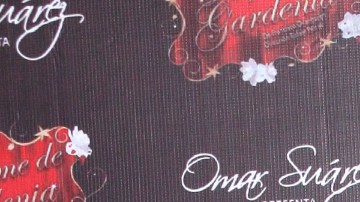 Aracely Arámbula confiesa los motivos por los que no muestra a sus hijos.