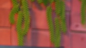 Clarissa Molina contó el sufrimiento que provocó la separación de sus padres.