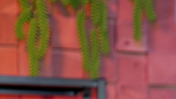 Clarissa Molina contó el sufrimiento que provocó la separación de sus padres.