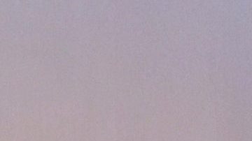 Daniel Bisogno fue sometido a una cirugía.