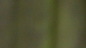 Kate Middleton se pronunció sobre su estado de salud.