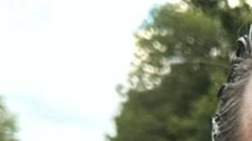 Luis Enrique Guzmán reacciona al resultado negativo de la prueba de ADN con Apolo.