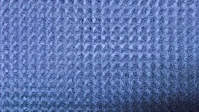 Luis Miguel se habría casado con su novia Paloma Cuevas.