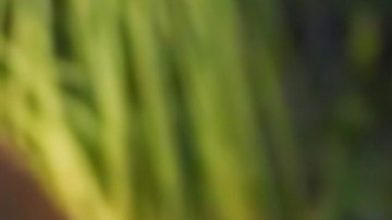 Nicola Porcella podría encontrar el amor en su nuevo reality.