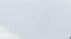 Raúl de Molina y Lili Estefan fueron dos de las figuras del entretenimiento que se quedaron sin su estrella.