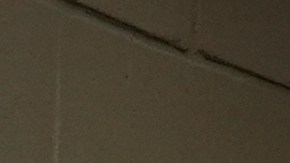 Taylor Swift y Travis Kelce en el US Open.