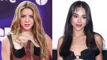 Danna y Shakira estuvieron juntas en una fiesta de Miami.