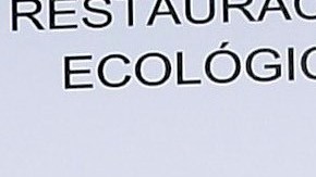 Gabriel Soto e Irina Baeva comparten un tatuaje.