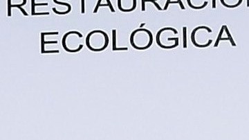 Gabriel Soto e Irina Baeva comparten un tatuaje.