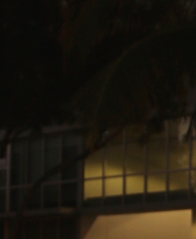 Gala Montes se reencuentra con su madre tras graves acusaciones.