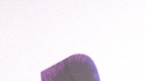 Shakira tiene estrictas reglas con sus hijos.