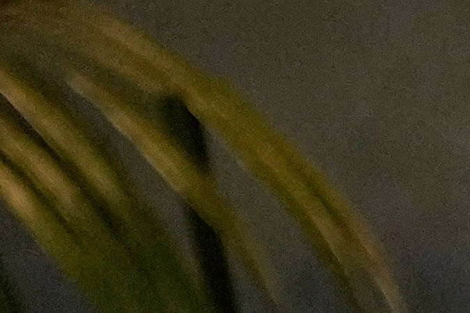 Cientos de fanáticos llegaron al hotel donde murió Liam Payne con cartas, póster y velas para el cantante.