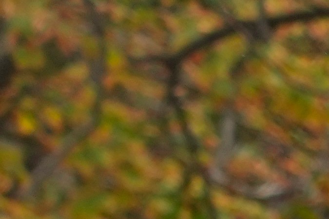 Fanáticos de Liam Payne en todo el mundo se reúnen para rendir tributo al cantante con flores, velas y fotografías del exintegrante de One Direction.