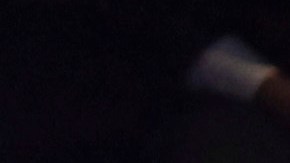 Vicente Fernández, Alejandro Fernández