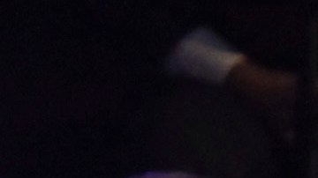 Vicente Fernández, Alejandro Fernández