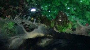 Alfredo Adame arremetió contra Leslie Gallardo: "La aborrezco".