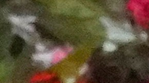 Ángela Aguilar deja claro el estatus de su matrimonio con Nodal.