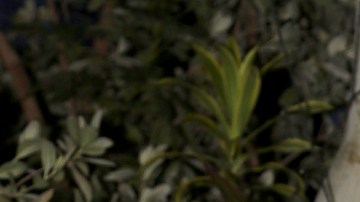 Daniella Navarro no estará en 'La Casa de los Famosos All Star'.