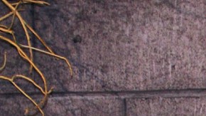 Eugenio Derbez enfrenta un dilema personal por la ajetreada agenda laboral que tiene.