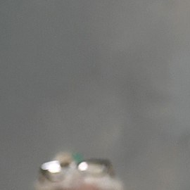 Gisele Bündchen anuncia su tercer embarazo a los 44 años de edad.