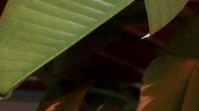 Julián Gil se refirió a la situación de su hijo, fruto de su relación con Marjorie de Sousa