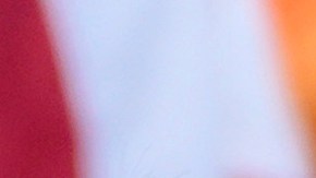 Kamala Harris y Donald Trump se enfrentarán en las elecciones presidenciales de Estados Unidos el próximo 5 de noviembre.