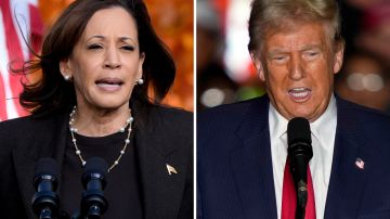 Kamala Harris y Donald Trump se enfrentarán en las elecciones presidenciales de Estados Unidos el próximo 5 de noviembre.