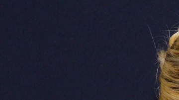 Karol Sevilla le habría lanzado indirecta a Emilio Osorio.