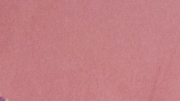 Novia de Liam Payne, aún no supera la muerte del cantante.