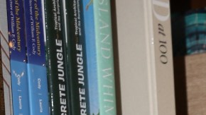 Así es cómo Ninel Conde enfrenta las críticas sobre su imagen.