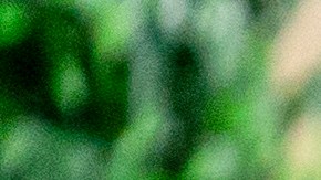 Sean 'Diddy Combs enfrenta graves cargos penales en Estados Unidos.