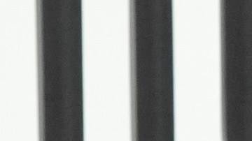 Selena Gomez y Karol G juntas por una buena causa.