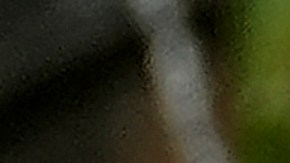 Los príncipes William y Harry fueron invitados a las fiestas de Sean 'Diddy' Combs.