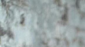 Yailin la Más Viral