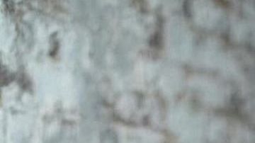 Yailin la Más Viral