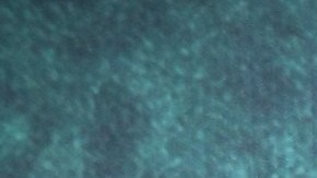 Camila Sodi actualiza el estado de salud de su madre, Ernestina Sodi.