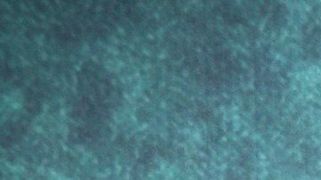 Camila Sodi actualiza el estado de salud de su madre, Ernestina Sodi.