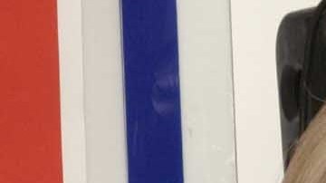 Ernestina Sodi es hermana de Thalía y madre de Camila Sodi.